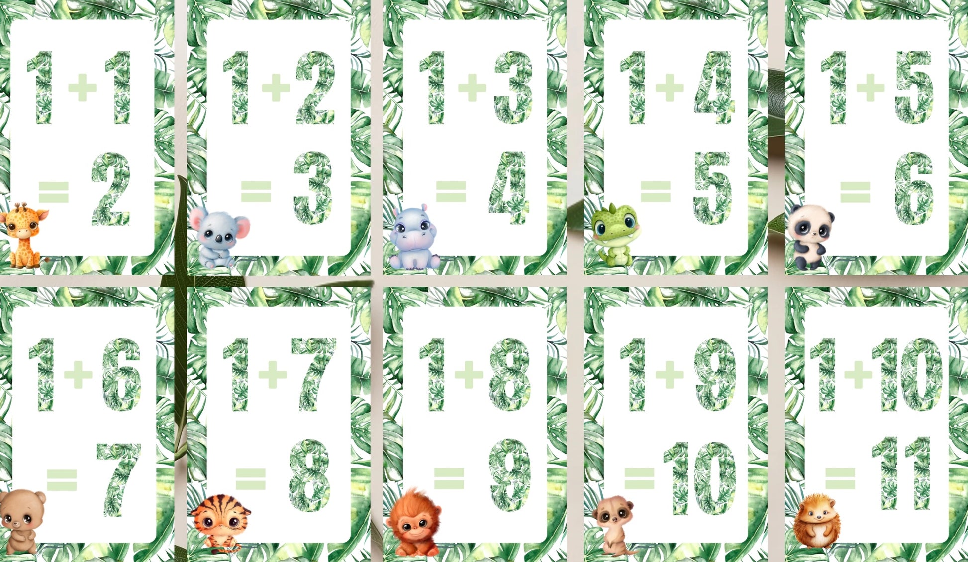 Jungle Plus Cards