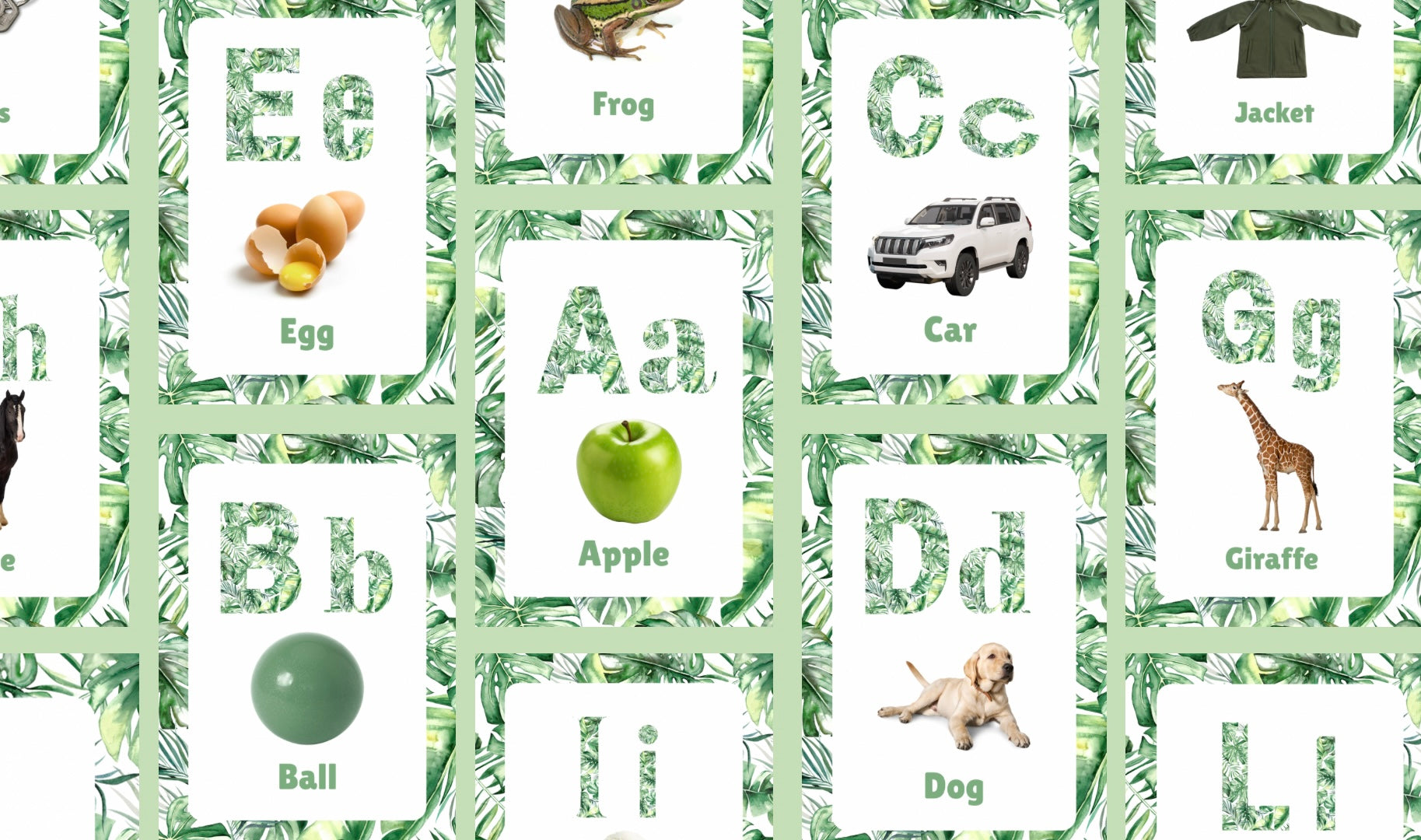Jungle ABC Cards